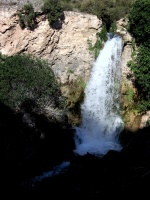 imgp0309 _Modificada_.jpg